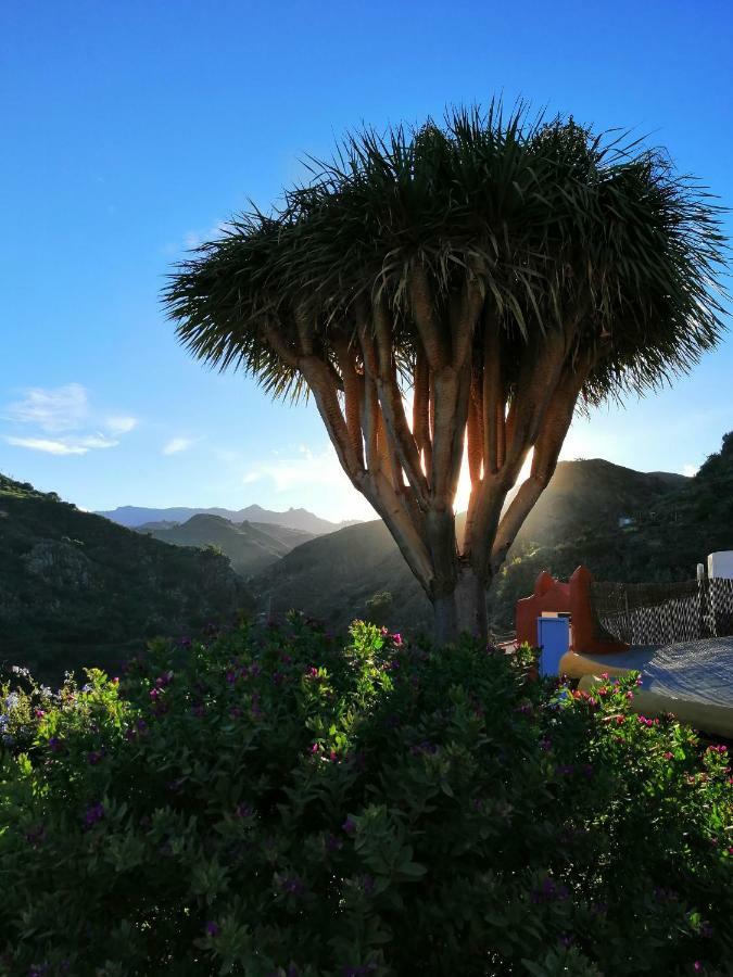 Vivelorural Casa La Cuevita, Santa Brigida Bagian luar foto