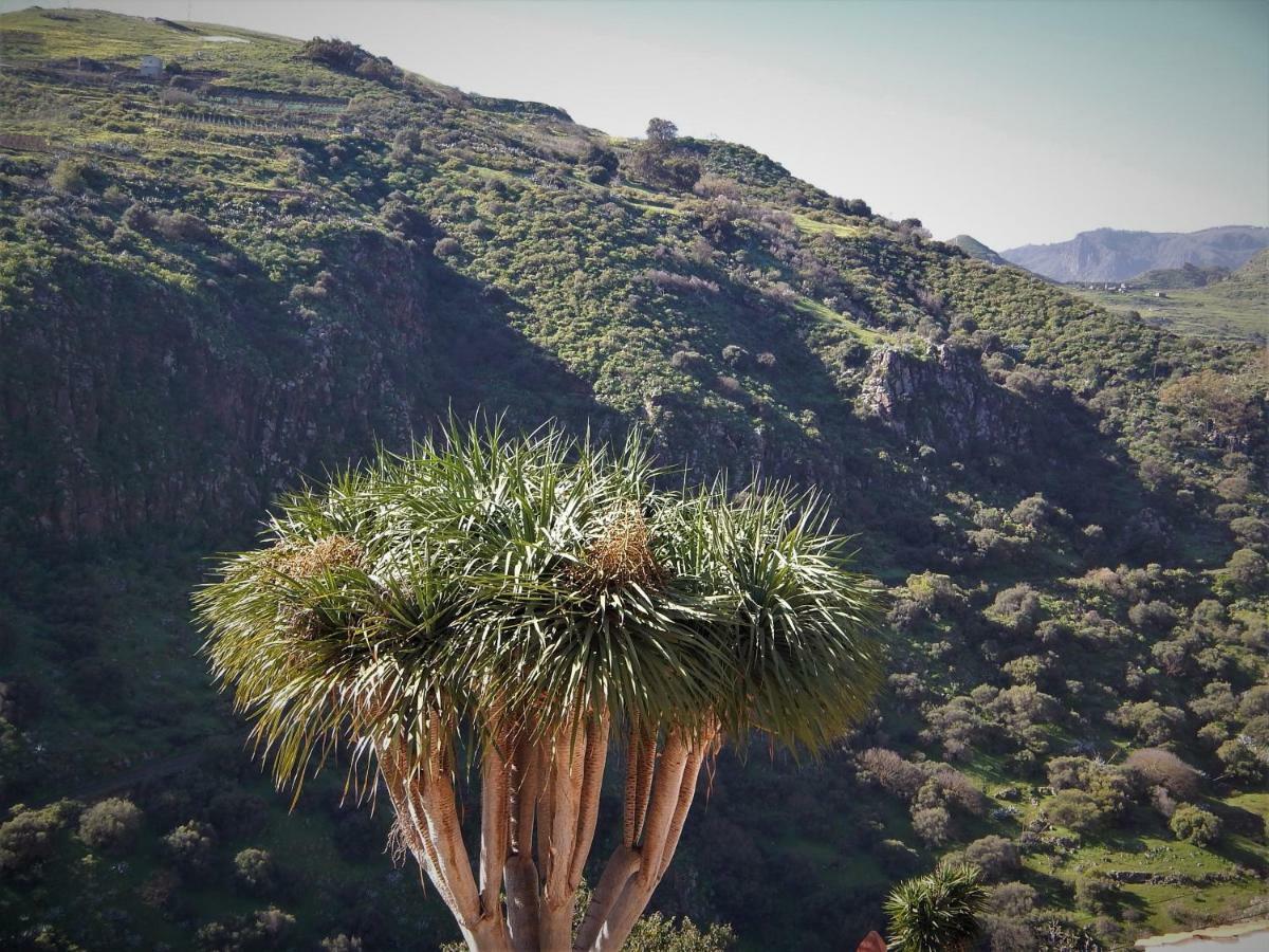 Vivelorural Casa La Cuevita, Santa Brigida Bagian luar foto